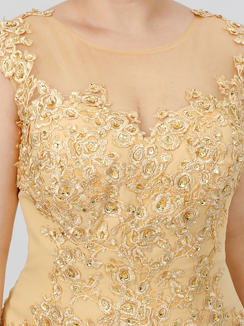 A-Line Elegant Wedding guest dress Lace Sleeveless Mother of the Bride Dresses 