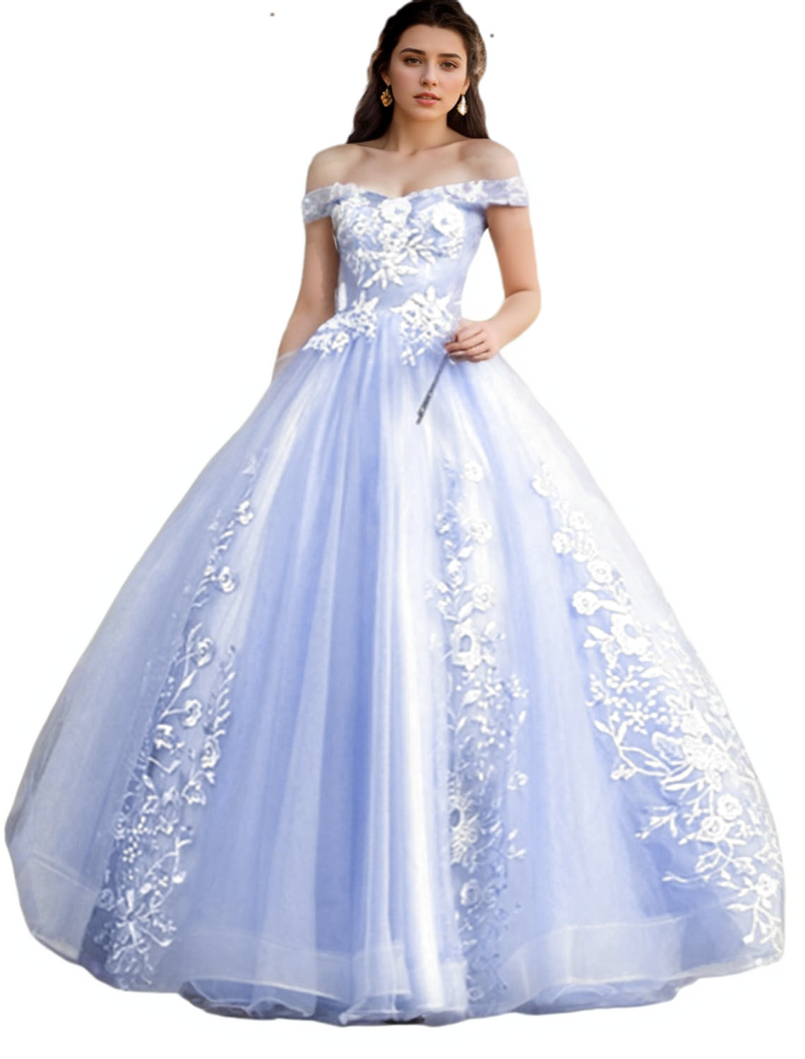 Ball Gown Quinceanera Dresses Princess Dress 