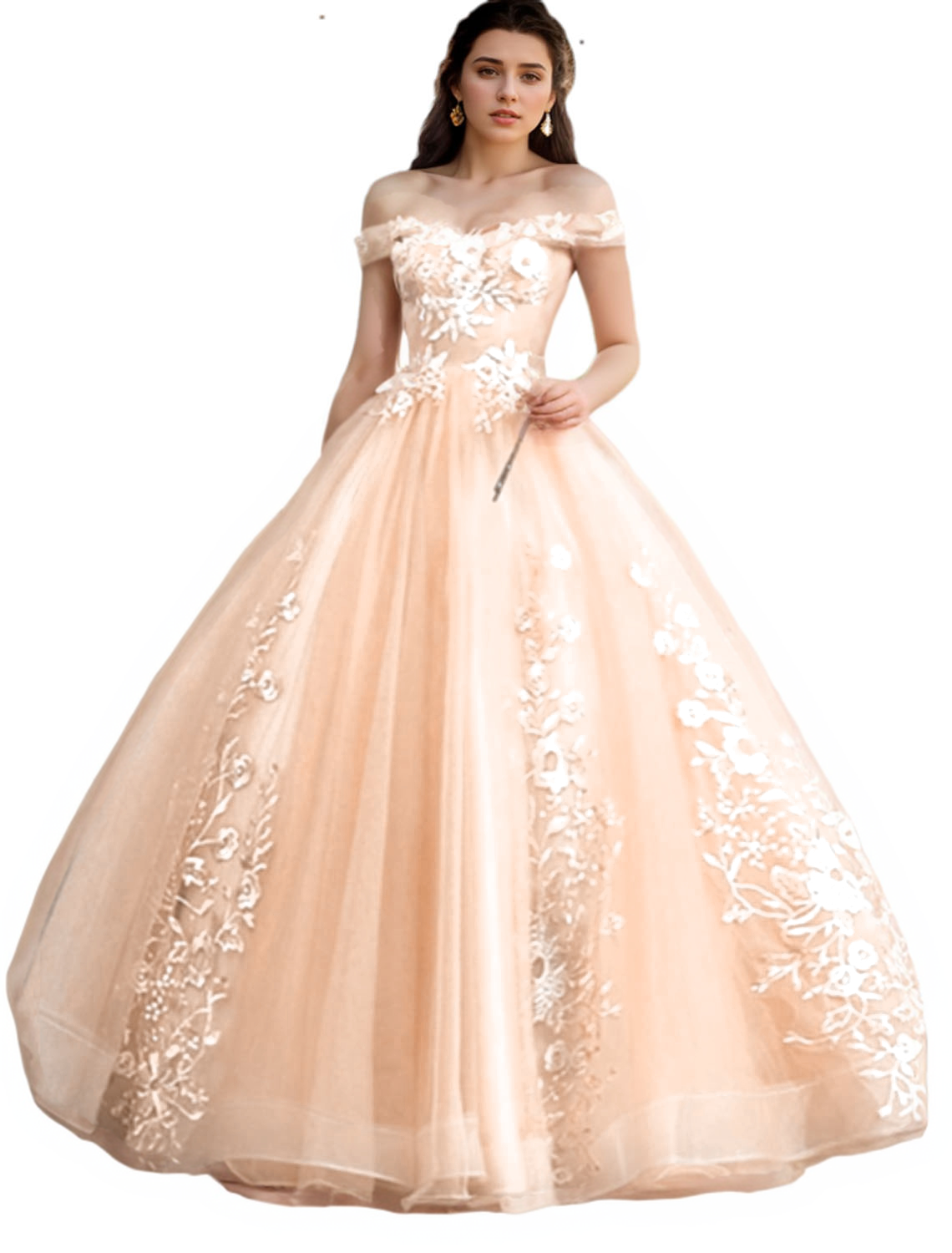 Ball Gown Quinceanera Dresses Princess Dress 