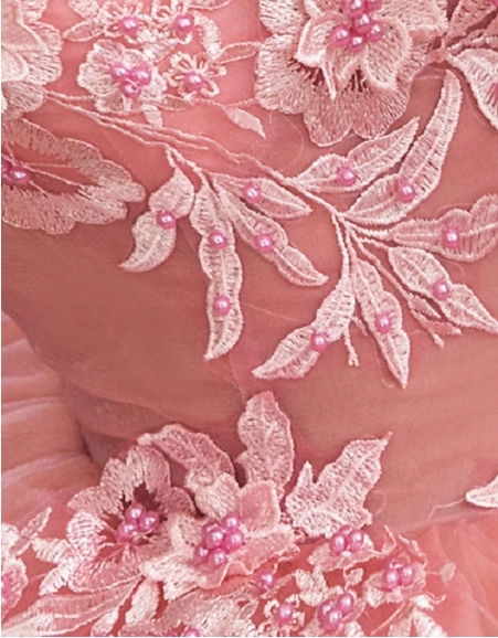 Ball Gown Quinceanera Dresses Princess Dress 