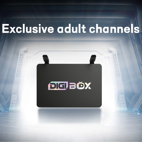 Dgibox D3 Plus