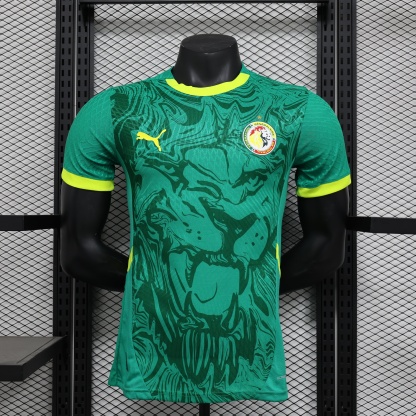 2025 Senegal Away Jersey