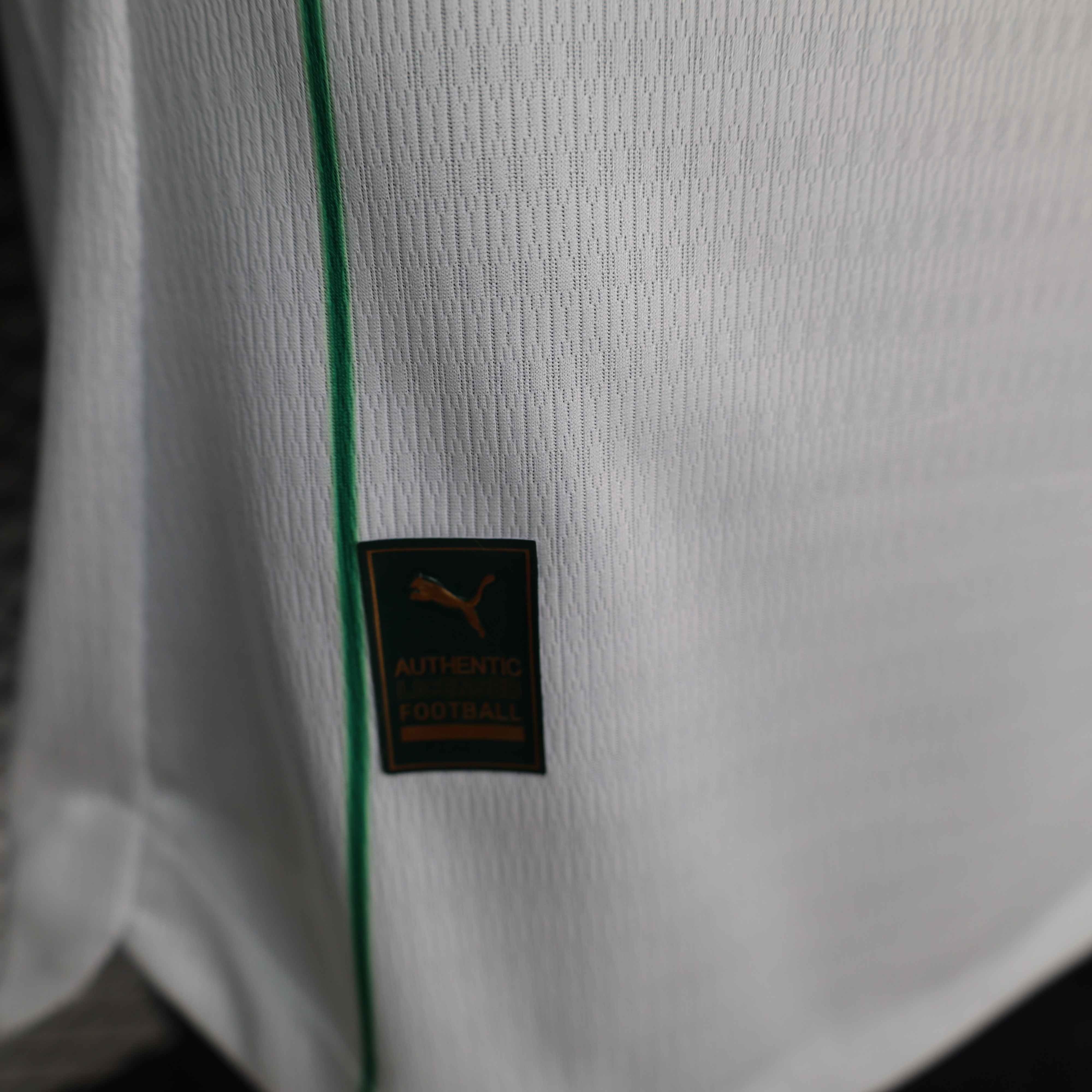 2026-27 Palmeiras Away Jersey