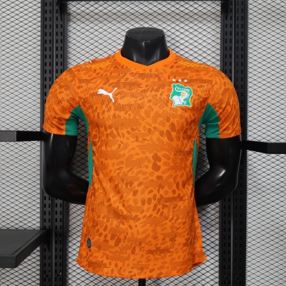2026 World Cup Ivory Coast Home Jersey