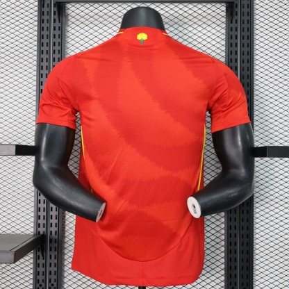 Spain 2024 Euro Home Man Jersey