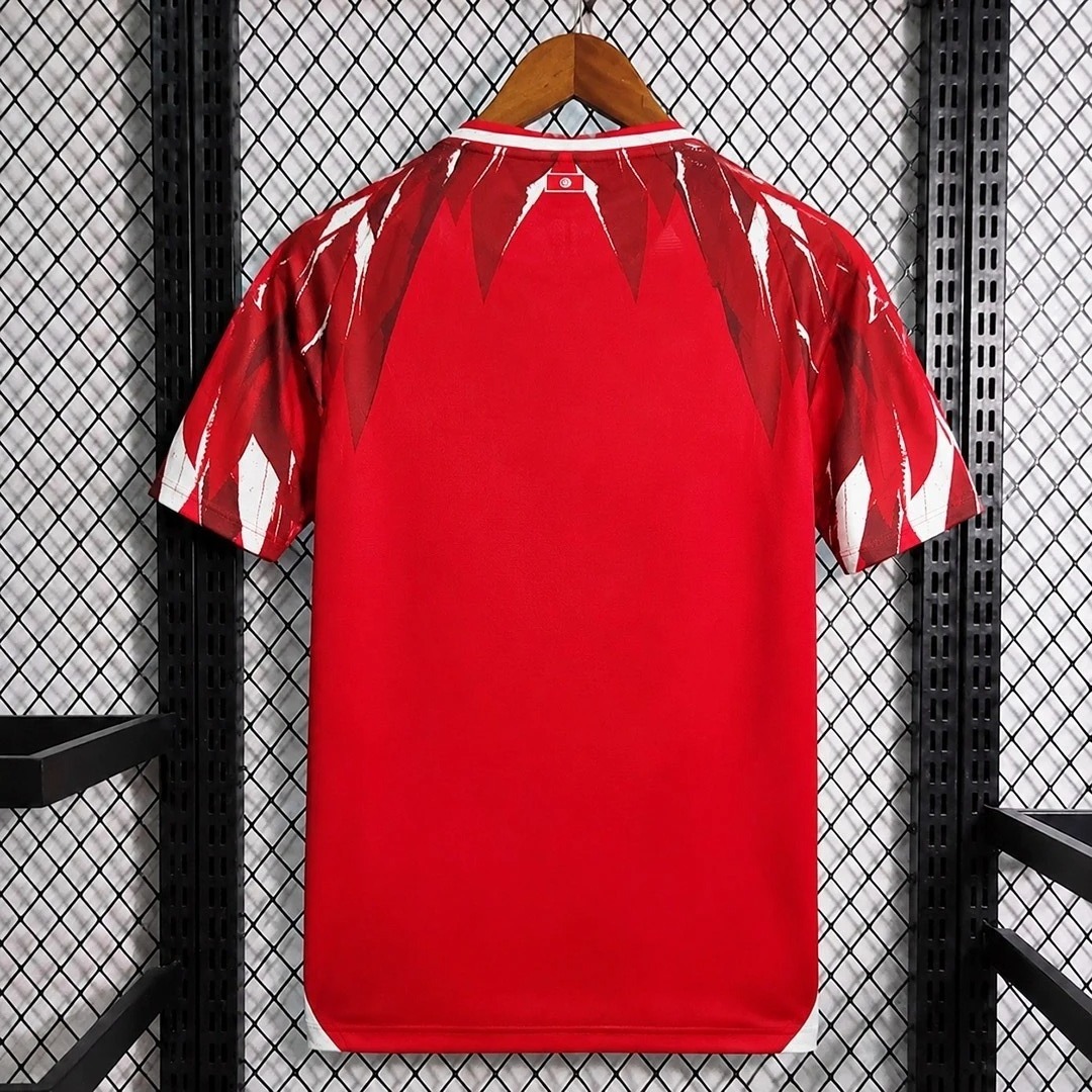 2026 World Cup Tunisia Away Jersey