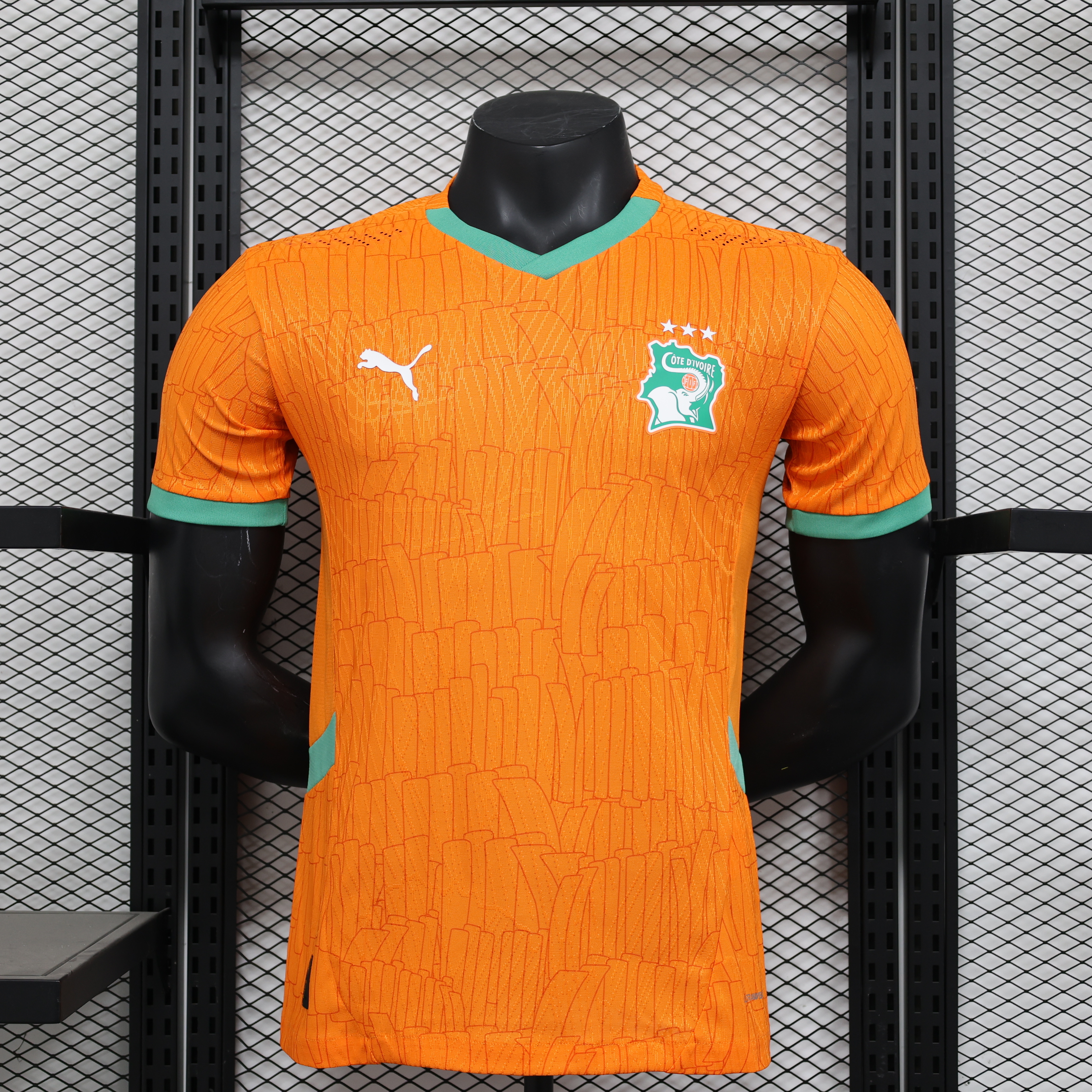 2025 Ivory Coast Home Jersey