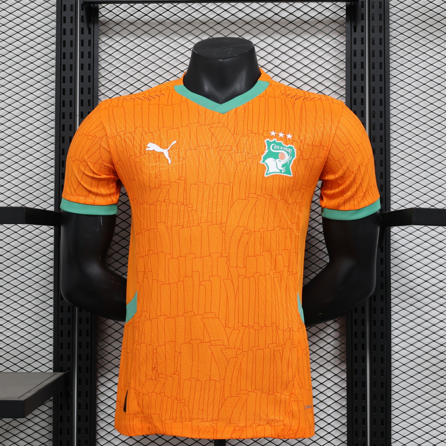 2025 Ivory Coast Home Jersey