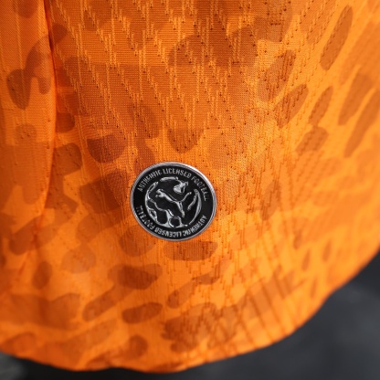 2026 World Cup Ivory Coast Home Jersey