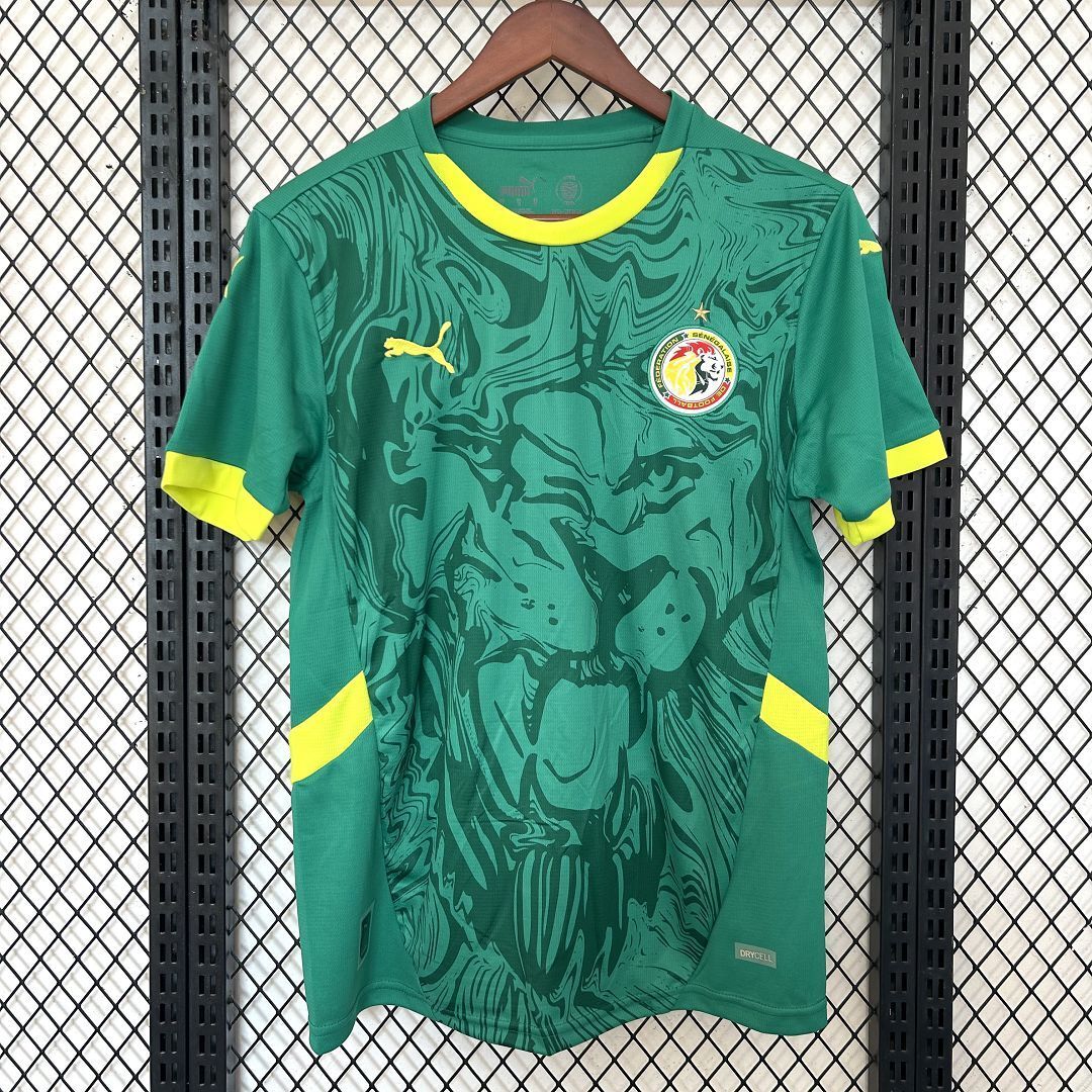 2025 Senegal Away Jersey