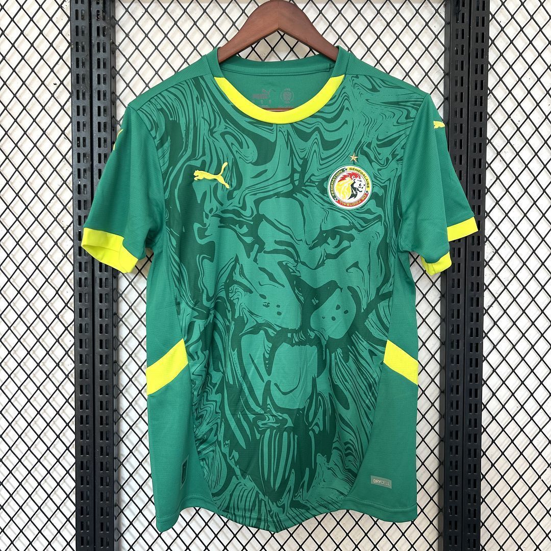 2025 Senegal Away Jersey