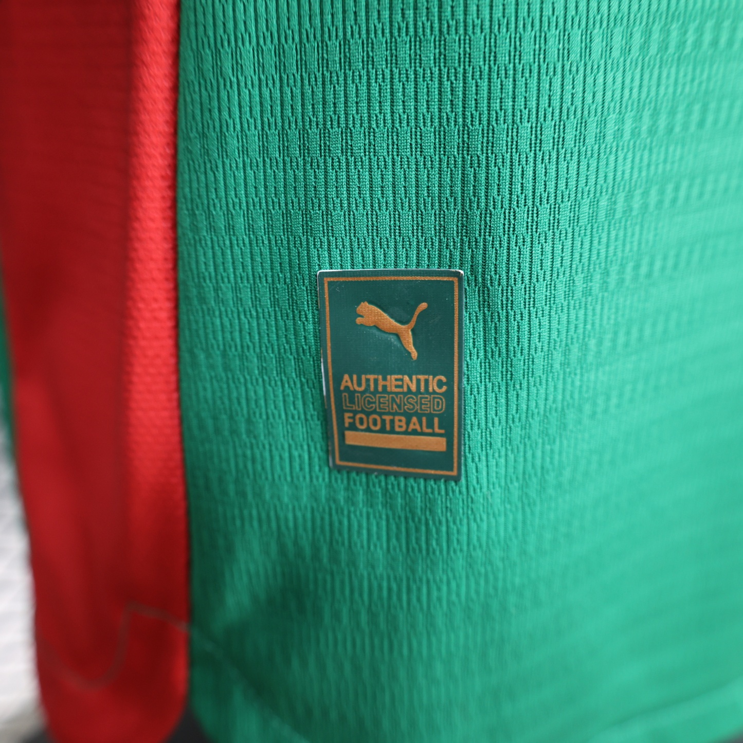 2026-27 Palmeiras Home Jersey