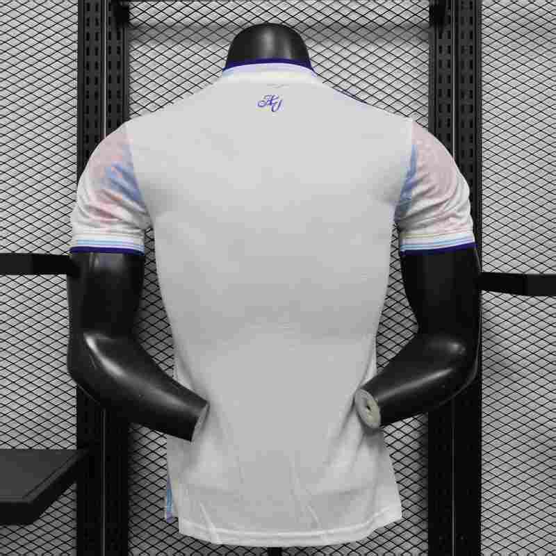 2025-26 Aston Villa Third Jersey