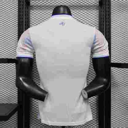 2025-26 Aston Villa Third Jersey