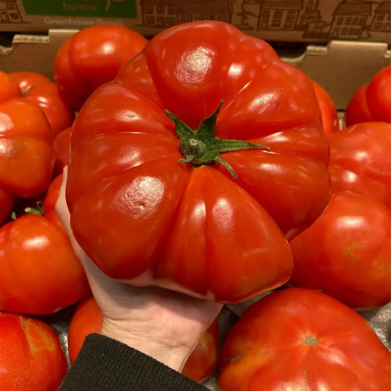 🍅Jättebiff tomatfrön - upp till 2 kg✨50% Rabatt