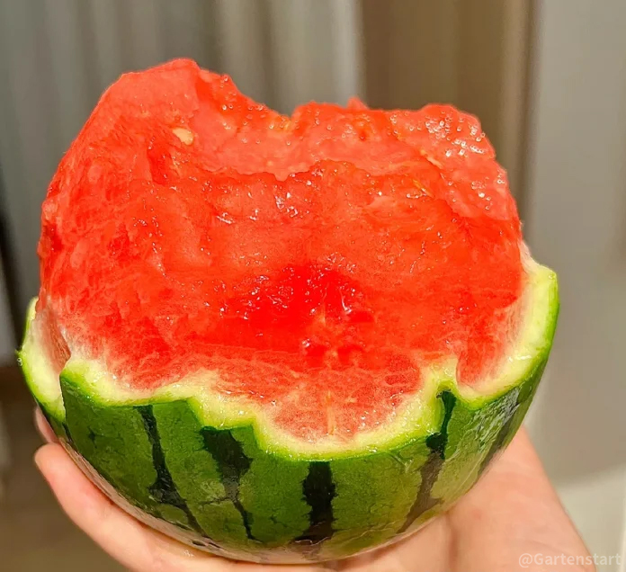 🍉Rubinrote Wassermelonenkerne🍉