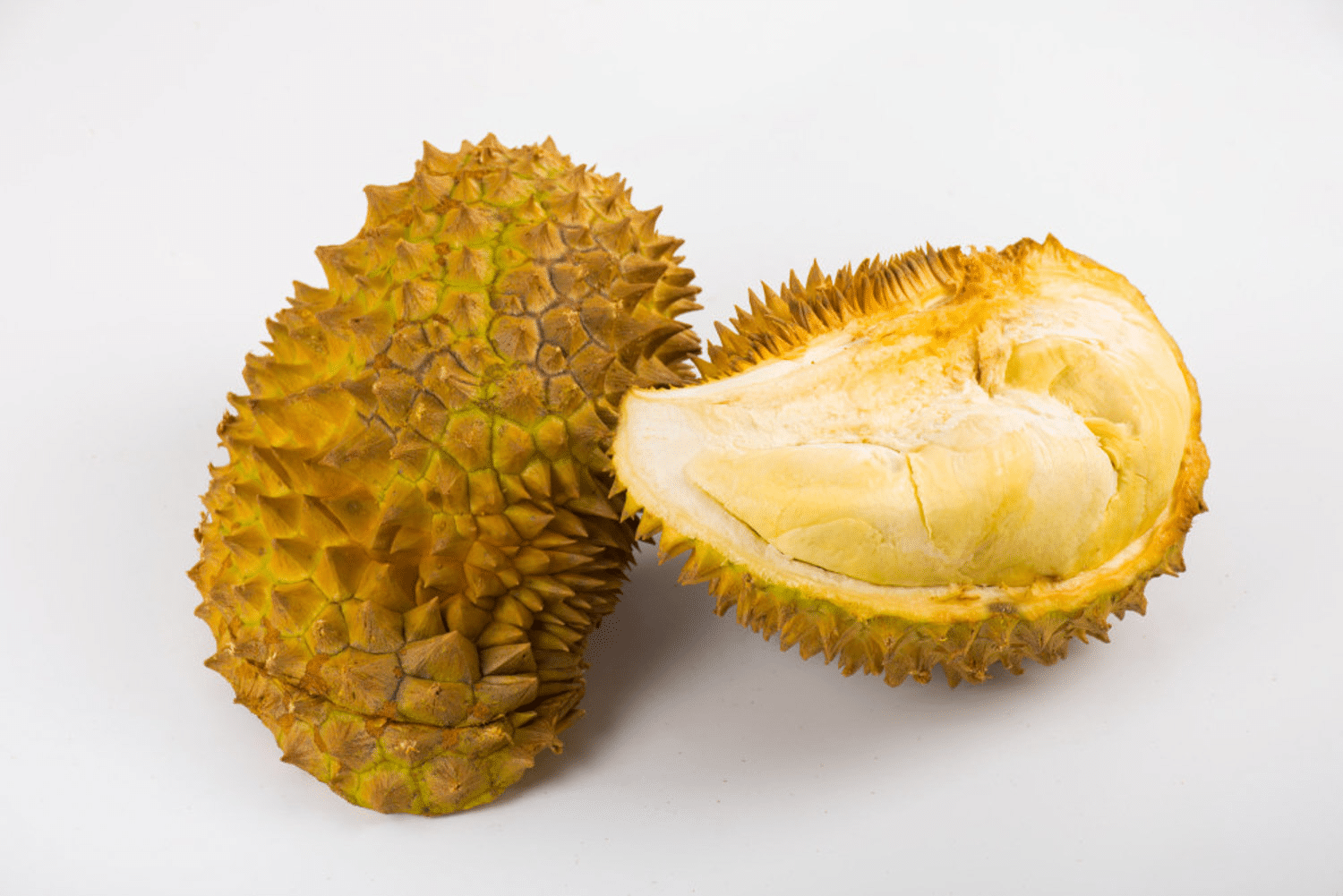 Durian-Fruchtpflanzensamen