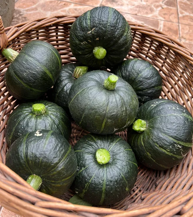 BeiBei Pumpkin Seeds