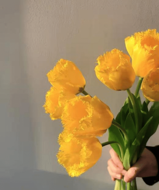 Blumensamen der errötenden Braut