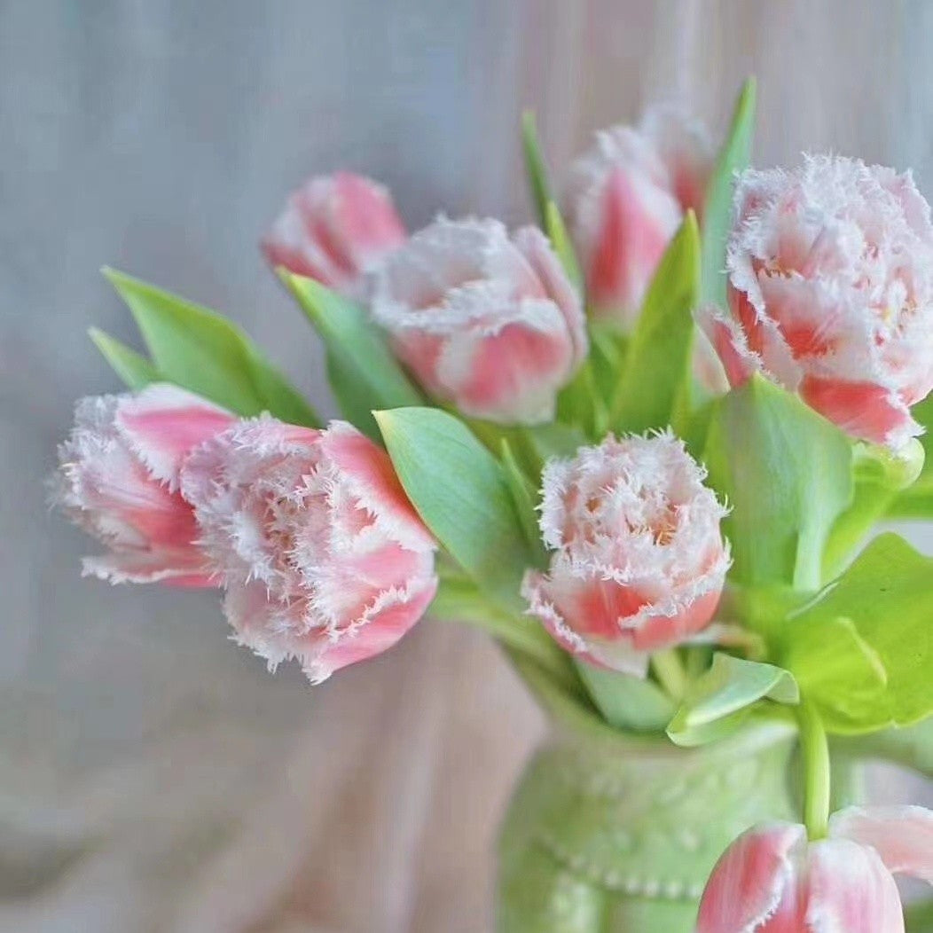 Blumensamen der errötenden Braut