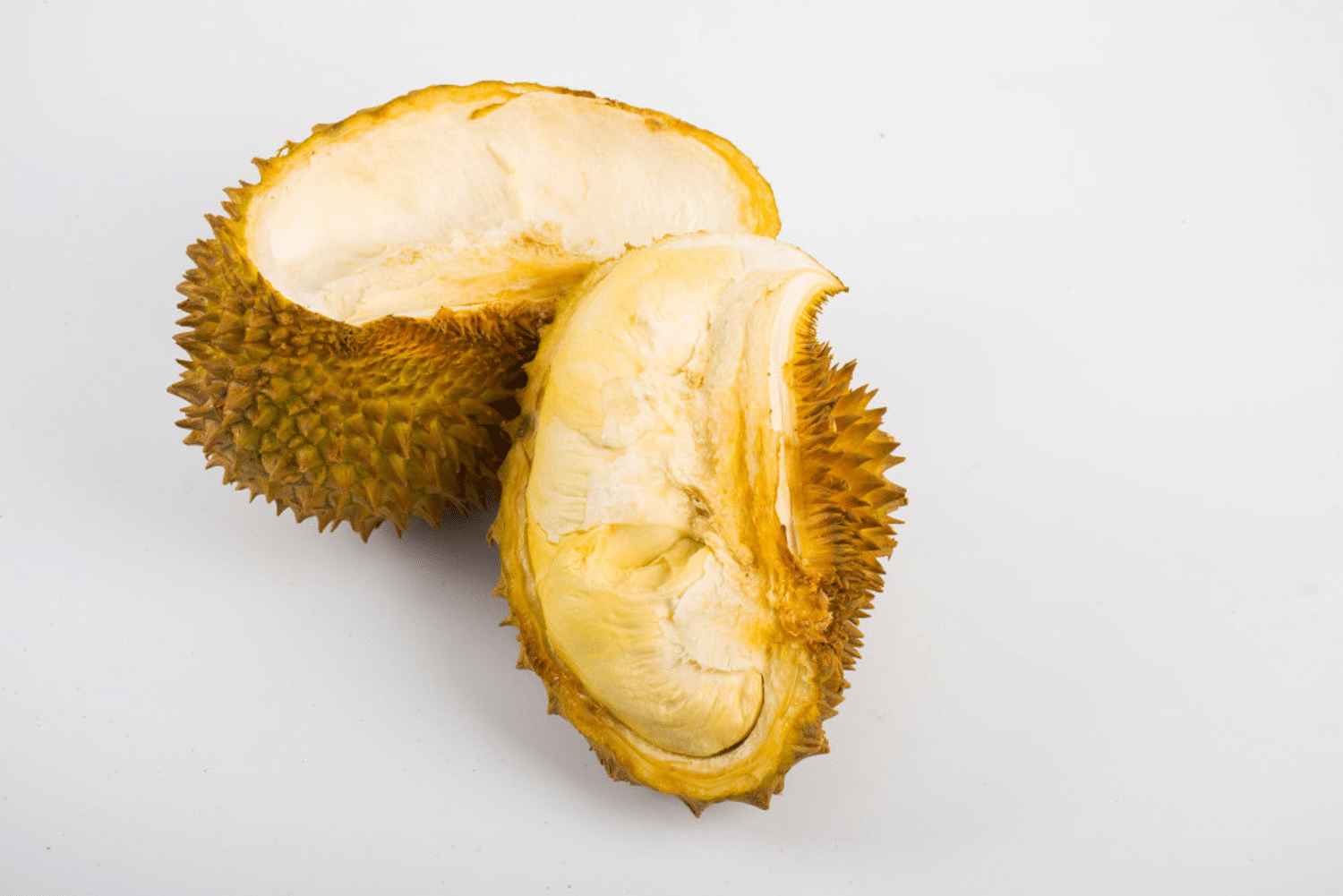 Durian-Fruchtpflanzensamen