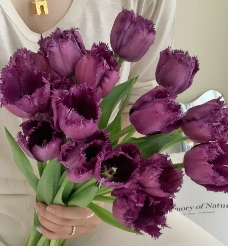 Blumensamen der errötenden Braut