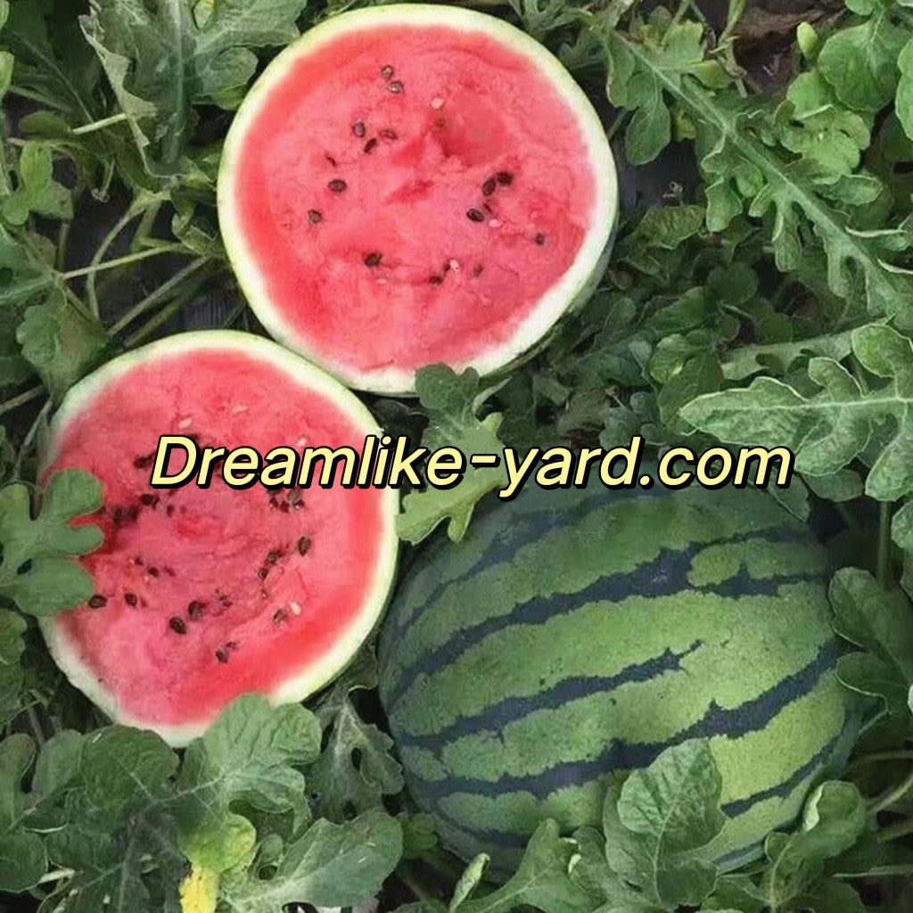 Rotfleischige, dünnhäutige süße Wassermelone