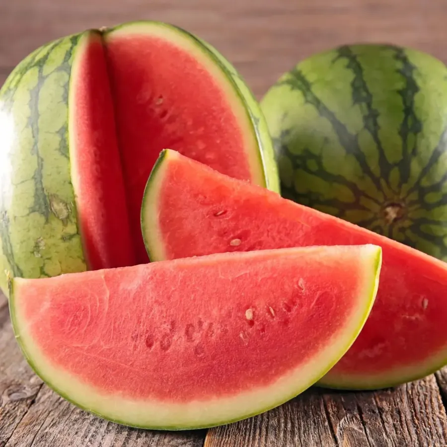 🍉WASSERMELONENKERNE FÜR FAULE