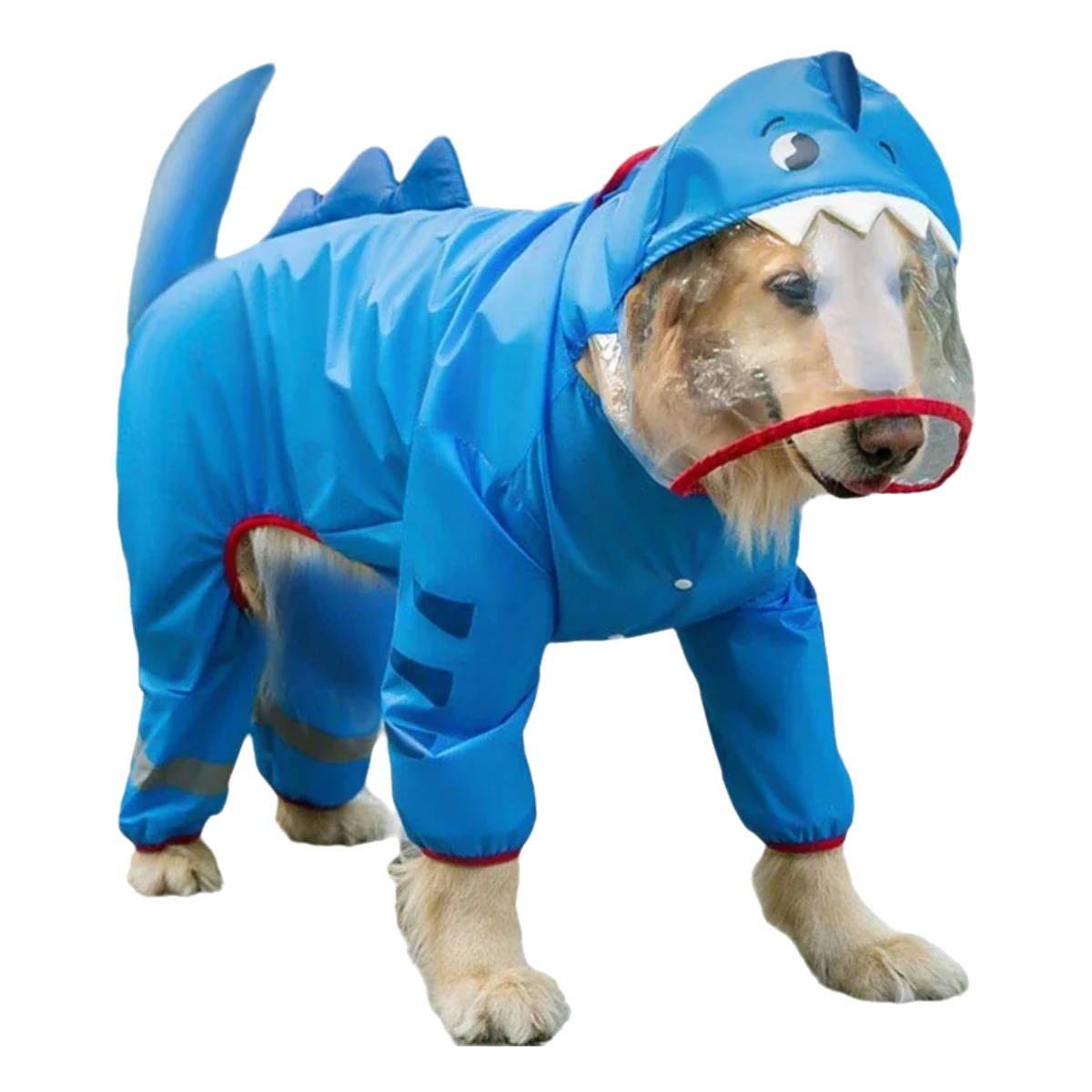 Personalized Cat and Dog  Raincoat 