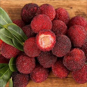 HIMALAYAN BAYBERRY (KAPHAL) SEEDS