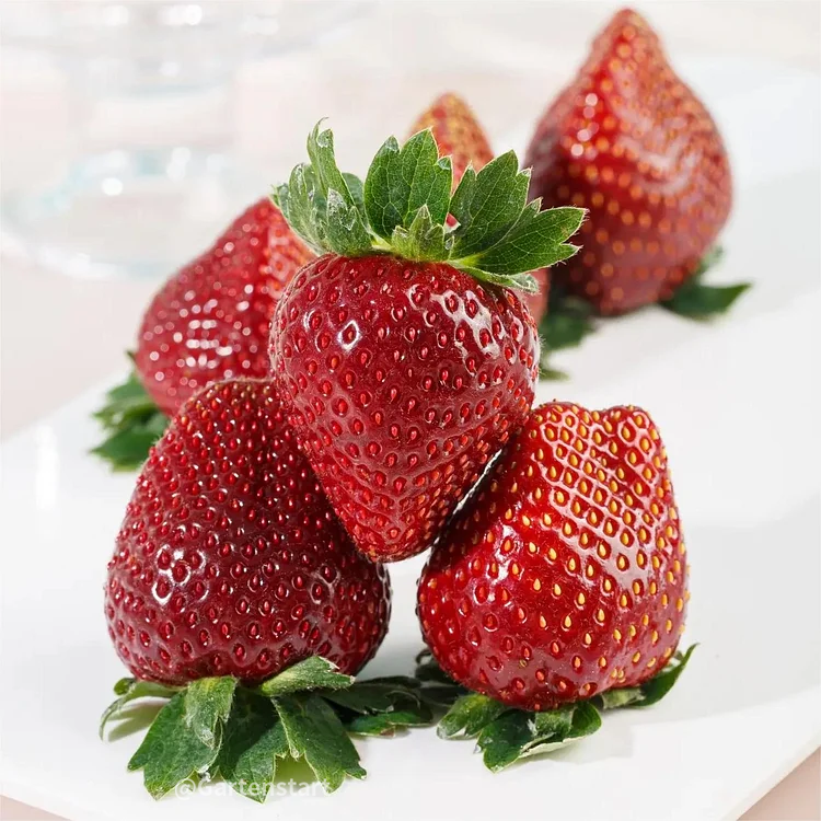 Black Pearl Strawberry Seeds