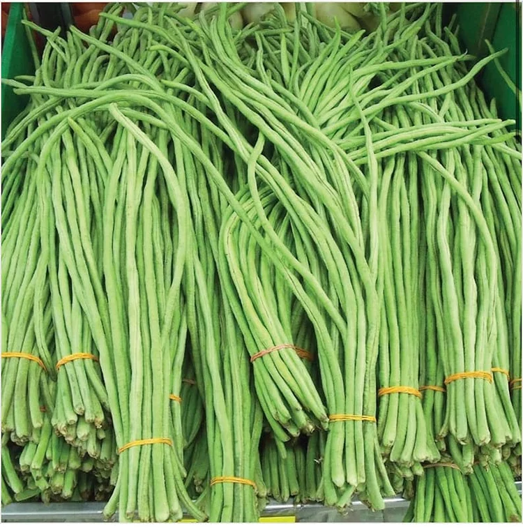 60% OFF🔥SUPER-LONG GREEN BEAN SEEDS - SUPER YIELD
