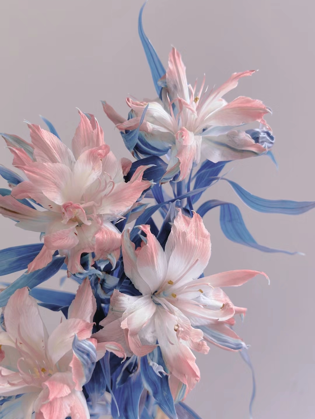 Japanese Double Alstroemeria