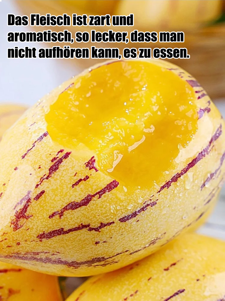 Süße und köstliche Langlebigkeitsfrucht, 99,9 % Frucht