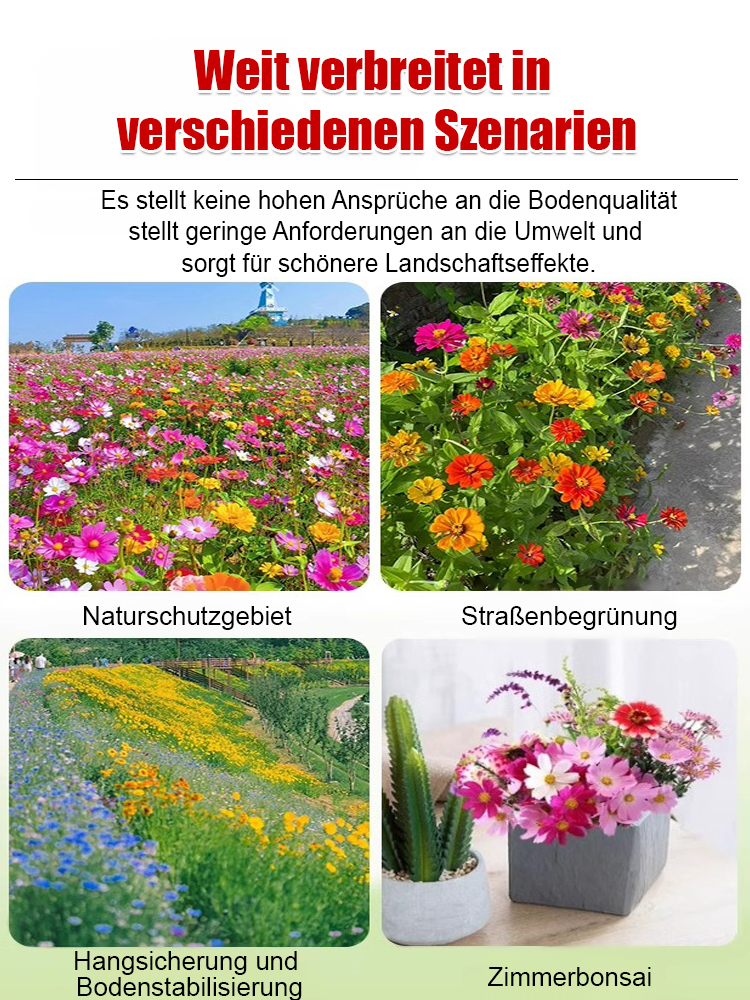 【Vier-Jahreszeiten-Blumen】Blumenmeer-Kombinationssamen💐