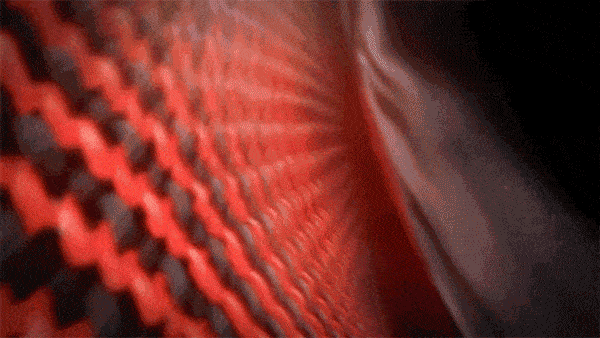DY-2_41.gif