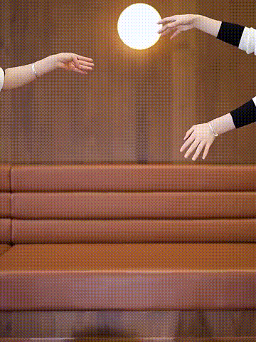 DY-2_15.gif