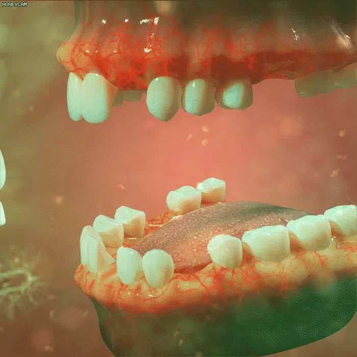 1_021.webp