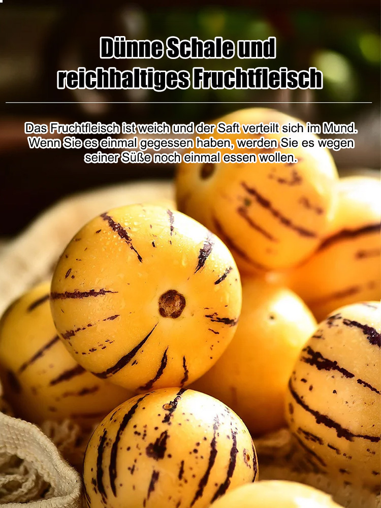 Süße und köstliche Langlebigkeitsfrucht, 99,9 % Frucht