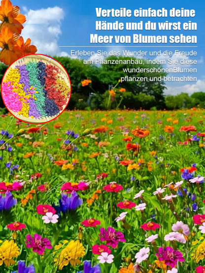 【Vier-Jahreszeiten-Blumen】Blumenmeer-Kombinationssamen💐
