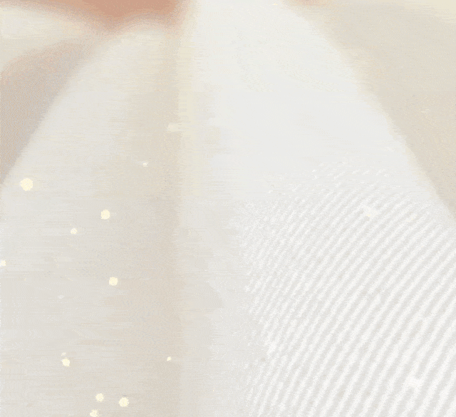 DY-2_39.gif