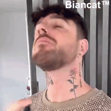 2202411291747524.gif