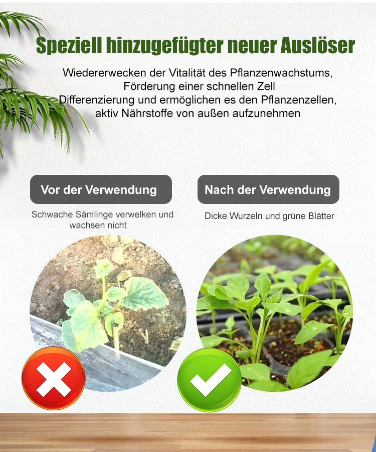 Blumenrettendes Artefakt, aktiviert lebende Zellen und fördert das Pflanzenwachstum