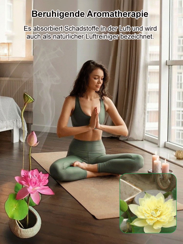 【Sehr hohe Keimrate】Glück bringende Geldschalen-Seerose🪷