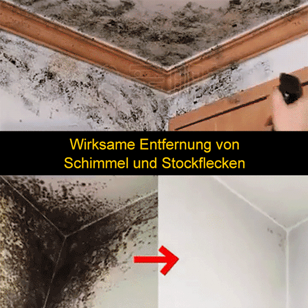 Schimmelentfernungsspray, beseitigt Schimmel in 3 Sekunden