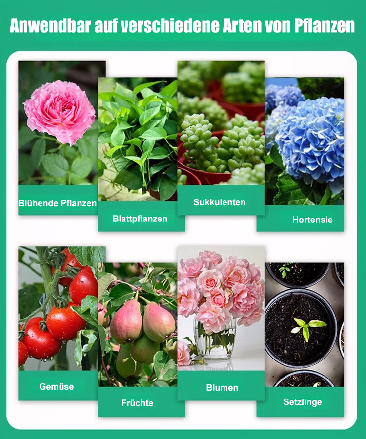 Blumenrettendes Artefakt, aktiviert lebende Zellen und fördert das Pflanzenwachstum