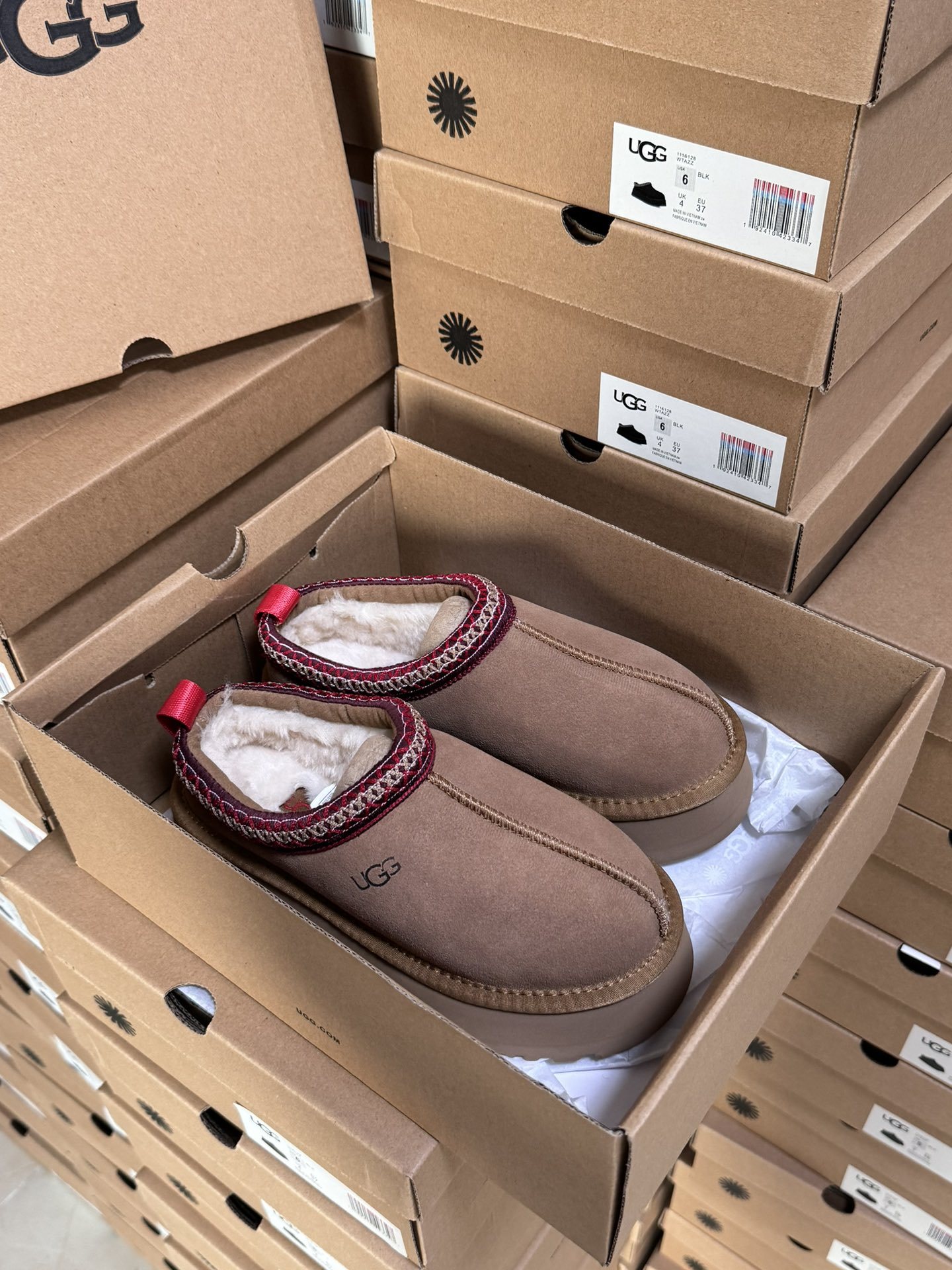 Tasman Slipper Maroon