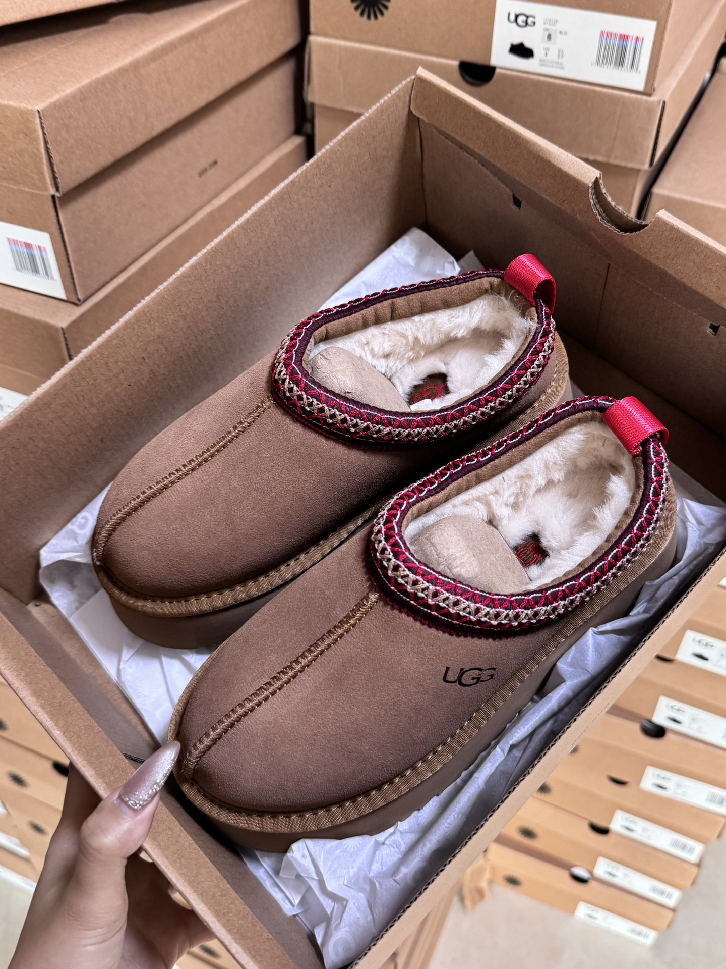 Tasman Slipper Maroon