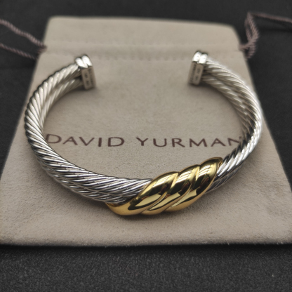 Dathtvid Yurthtman Cable Twist Bangle in 14K Yellow Gold/Sterling Silver