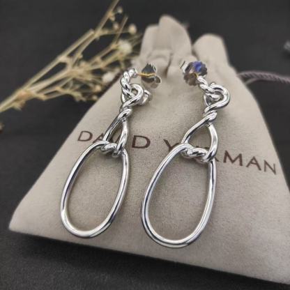 Sculpted Chain Drop Earrings